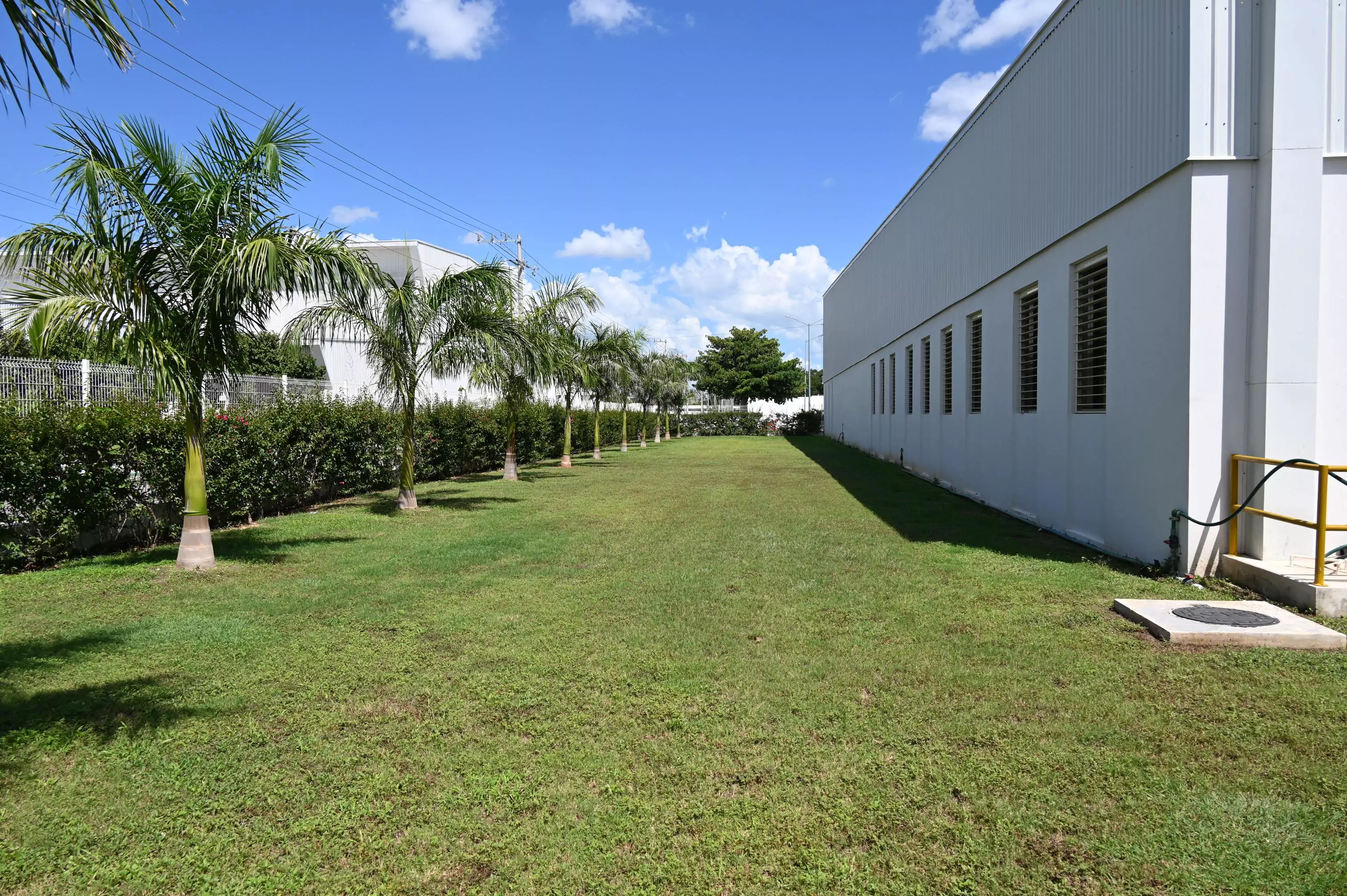 Plant 6 – Building